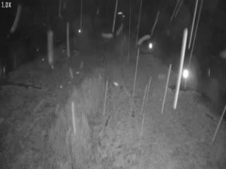 I-79 @ MM 116.5 live webcam