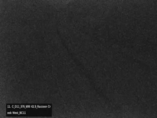 Live snapshot from I-376 WEST OF RACCOON CREEK